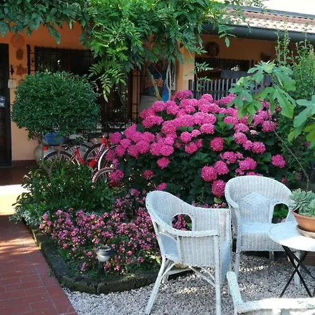 Bed & Breakfast L'isola Di Casa